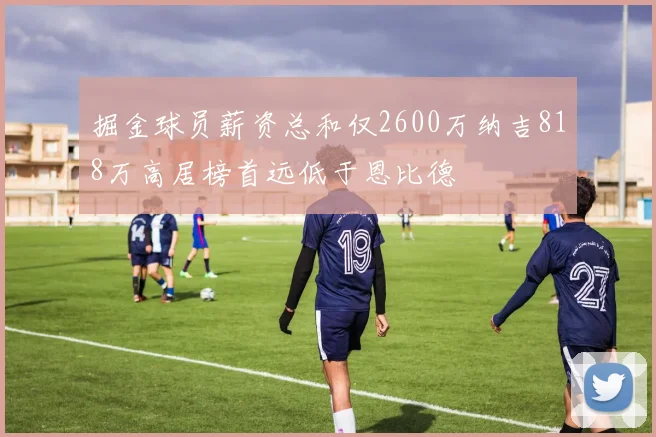 掘金球员薪资总和仅2600万纳吉818万高居榜首远低于恩比德